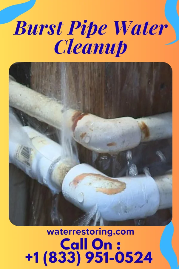 Burst Pipe Water Cleanup in Colby, KS